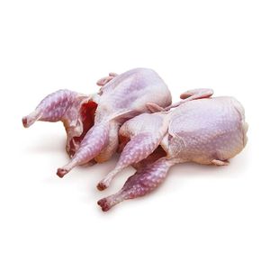 贩売のための新鲜な冷冻ウズラの肉