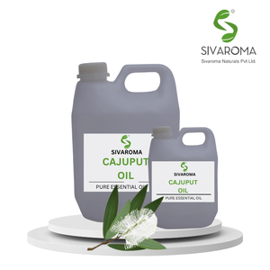 B2B kozmetik, temizlik ve aromaterapi endüstrileri için kaynaklı Melaleuca ağaçlarından otantik Cajuput yağı - Product Image 3