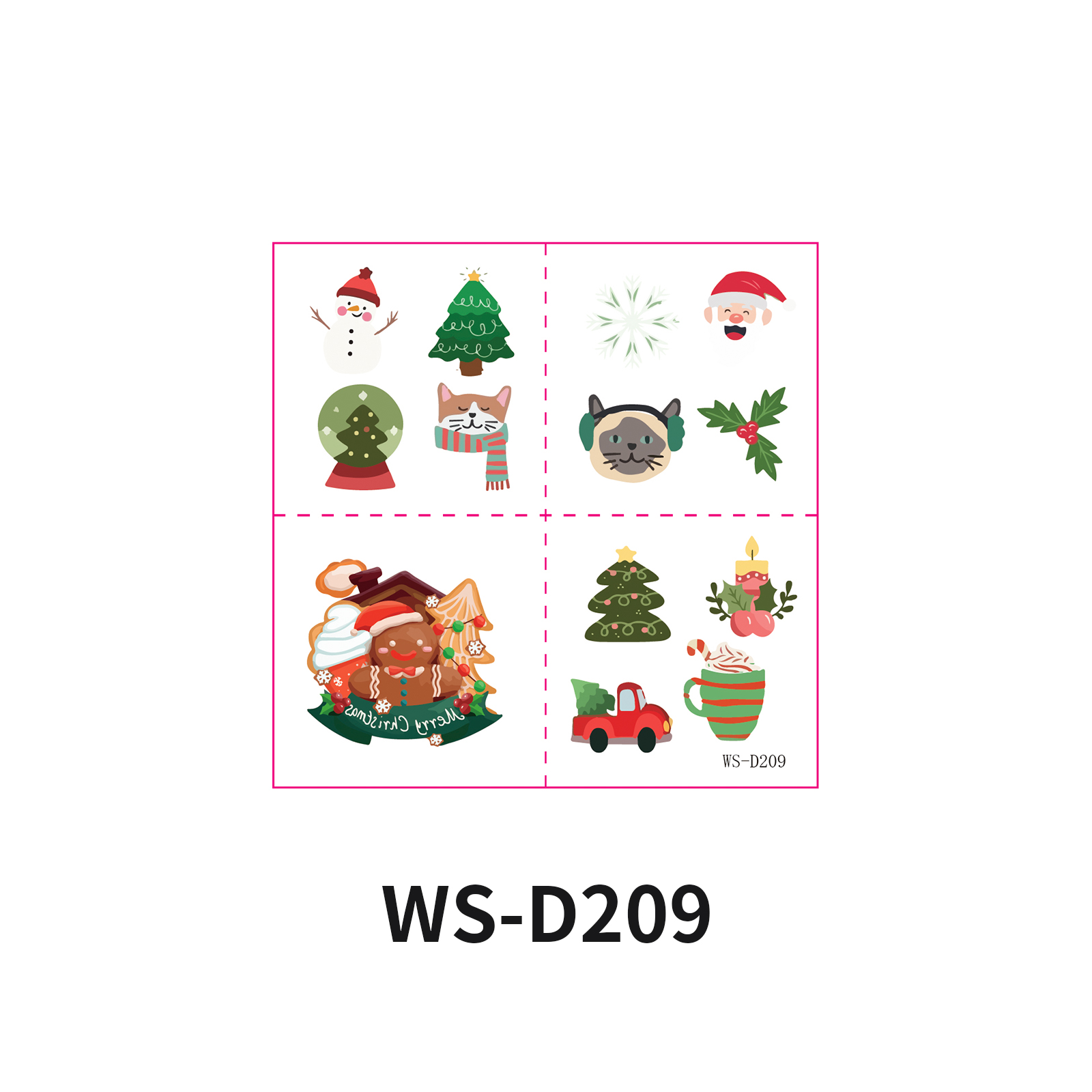 WS-D209