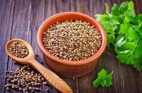 Kişniş tohumları ihracat yüksek kaliteli doğal kurutulmuş tek baharat otlar - Product Image 4