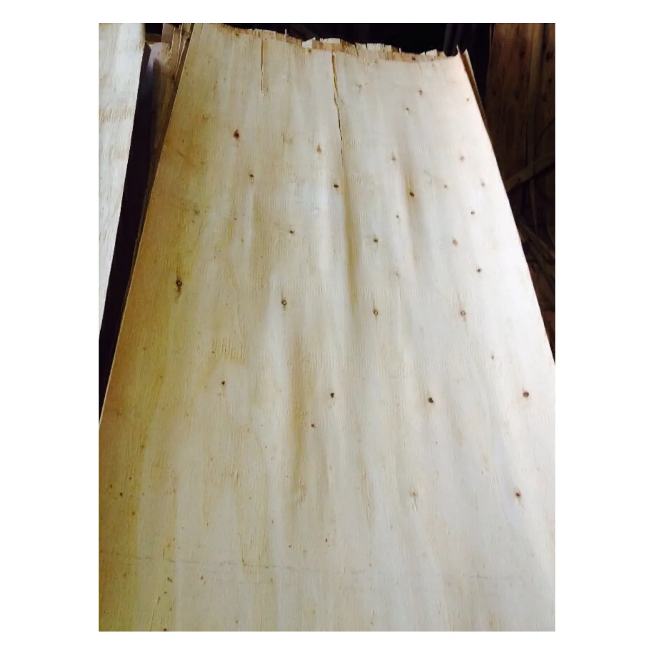 Produttore di impiallacciatura di legno naturale di alta qualità a prezzi economici made in Vietnam