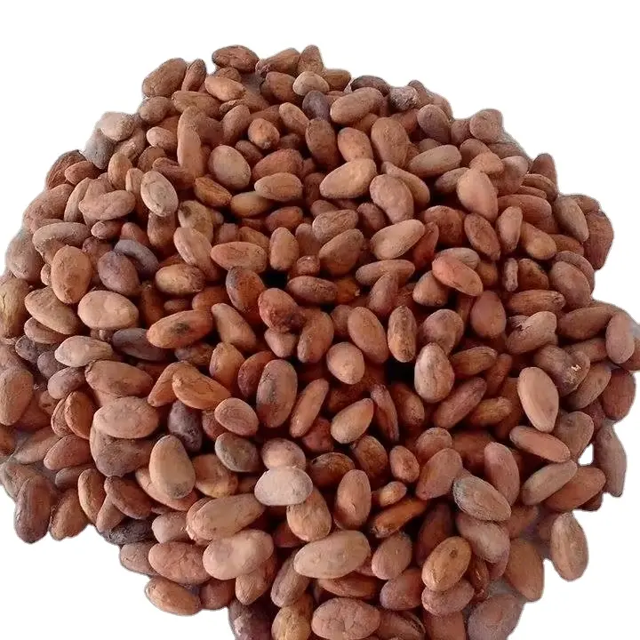 100% カカオ豆の種子とココアプレミアム品質天然ココア西アフリカカカオ豆卸売サプライヤーとメーカー