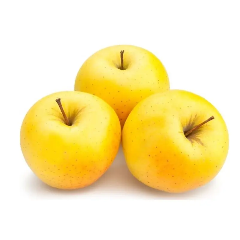 En iyi kalite düşük fiyat toplu stok mevcut altın lezzetli elma | Ihracat dünya çapında kırmızı lezzetli elma