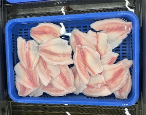 优质罗非鱼冷冻黑红罗非鱼，冷冻鱼片