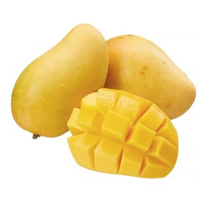 % 100% doğal Kesar Mango sulu ve taze seçilmiş çeşitli