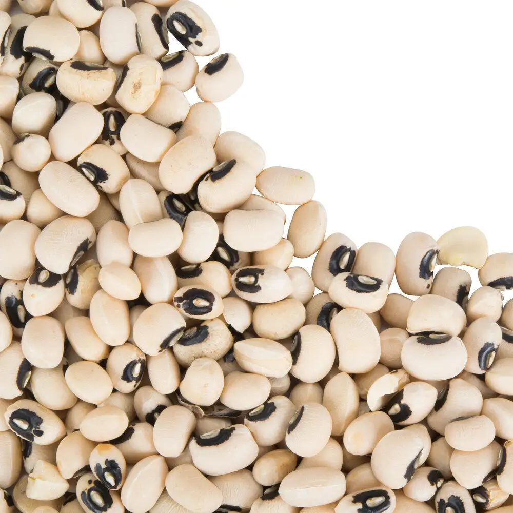 black eyed Beans for Sale Hot Sale Bag Status Style Color Package Woven Origin Type Product Fresh Place Model HACCP Taste Ton