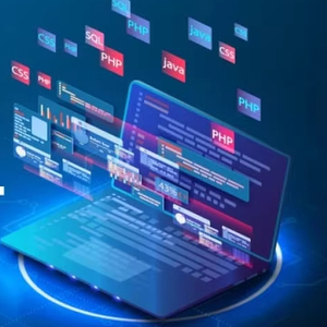 Başlangıç taşımacılığı için bütçe dostu web sitesi geliştirme hizmetleri sunmak