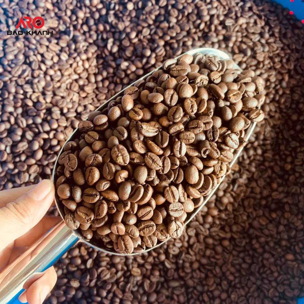 ARABICA 100% hochwertige Großhandel Kaffee geröstete Bohnen 0,25 kg Reichhaltiges Aroma von reifen Früchten Glatte Blitz lieferung Direkt ab Werk VI