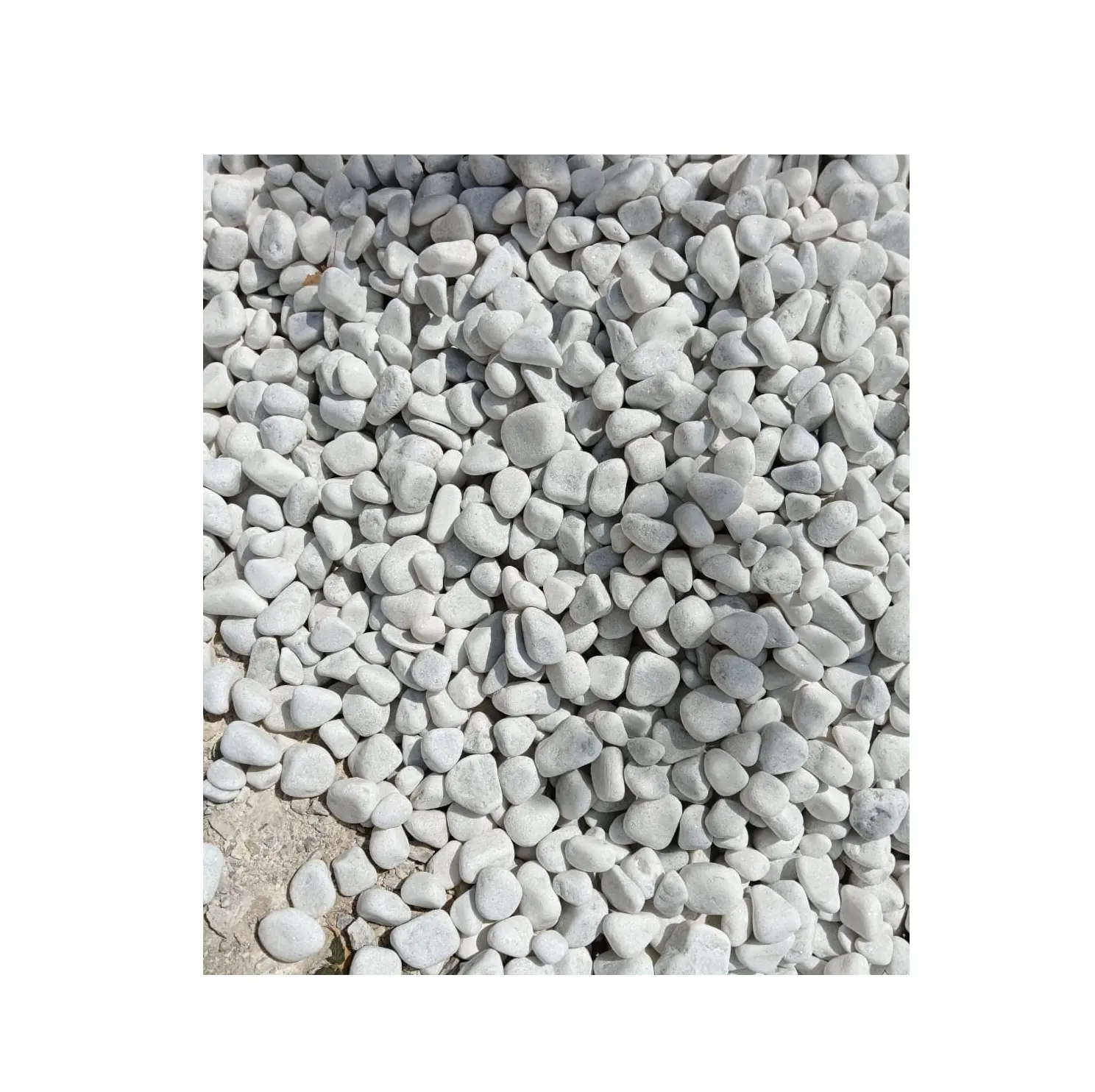 Piedra de guijarros de mármol redonda blanca de excelente calidad para pavimentación disponible a precio de exportación de proveedor indio