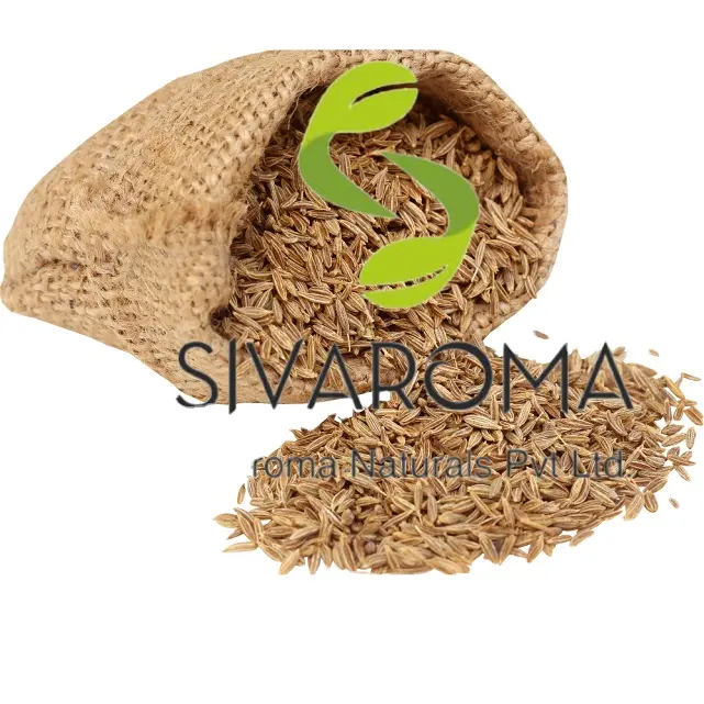 Best Quality Caraway Seeds Oil Top Class Spice Category Oil 100 % Pure Caraway Oil Suppliers From India at Bulk for Buyers