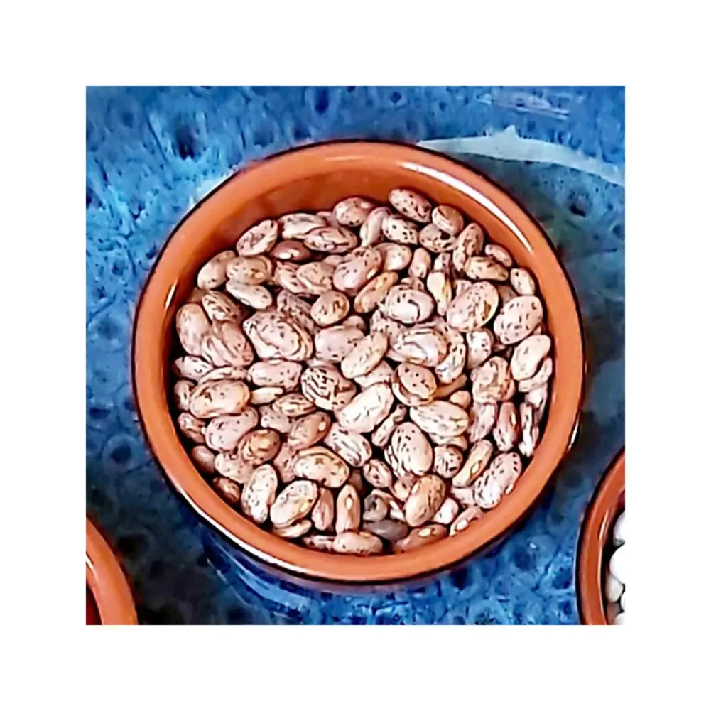 乾燥した赤い斑点のあるインゲン豆からの非高級天然バルクピント赤豆食品用安い価格最高のクール