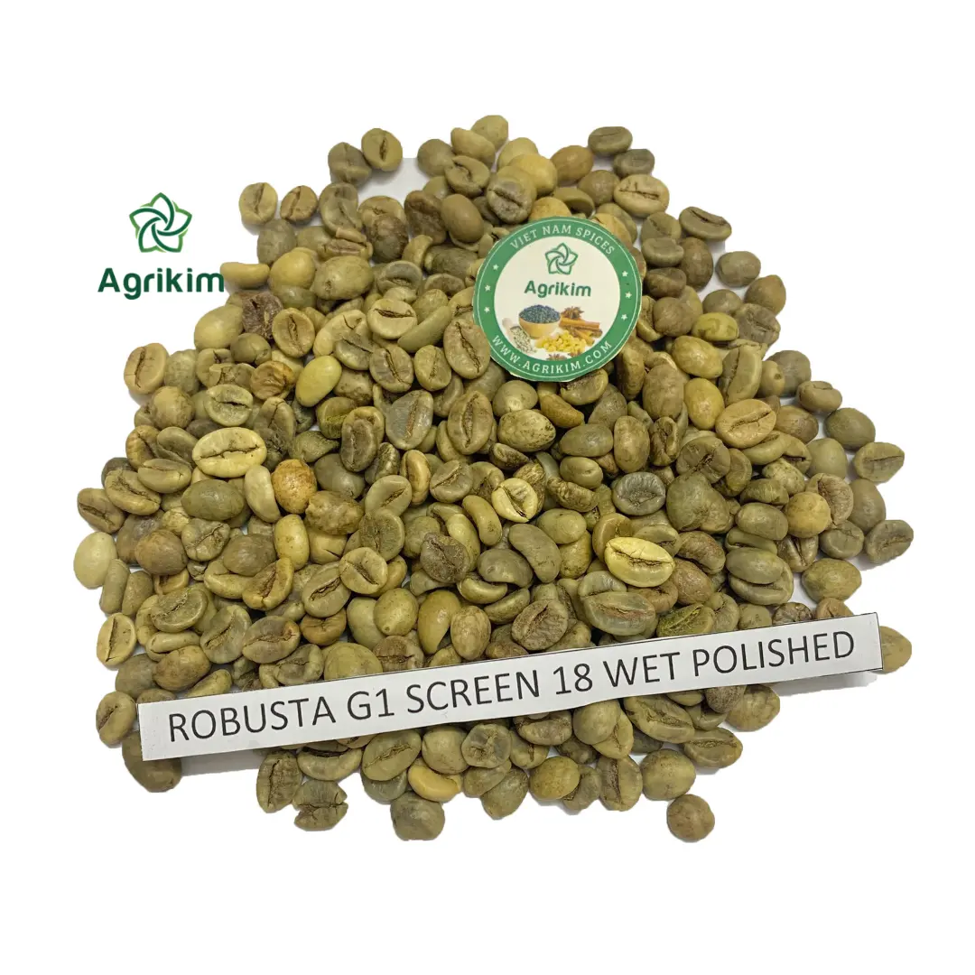 حبوب القهوة الخضراء عالية الجودة عالية الجودة المصنوعة في فيتنام بأفضل سعر 100% حبوب القهوة الخضراء الطبيعية النقية الأكثر مبيعًا