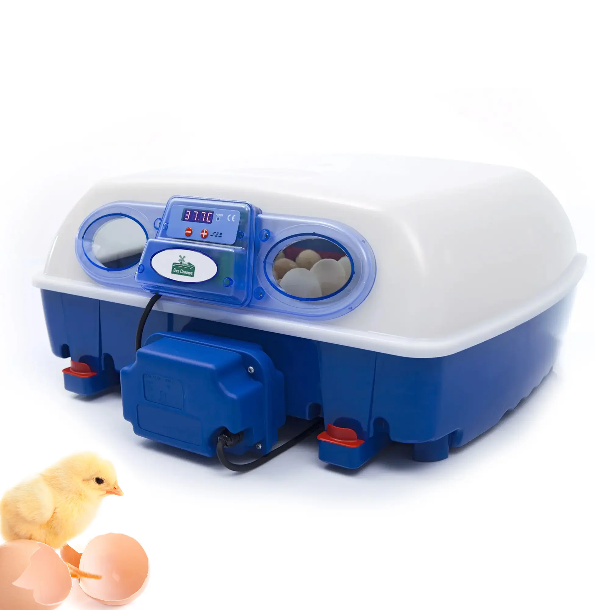 Shandong-incubadora automática de 49 huevos de gallina, alta eficiencia, DC-DCI-49