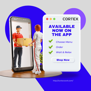 Vom Konzept zum Code Leistungs starke Anwendungs entwicklung Maßge schneidert für Sie Kompatibel mit Linux und Mac OS Instant Delivery - Product Image 1