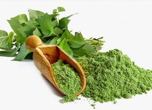 Чистый измельченный порошок листьев хуттуйнии/чистый вьетнамский порошок докудами/очищающий и Детокс-усилитель кожи - Product Image 4