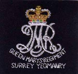 SOUTH STAFFORDSHIRE REGIMENT BLAZER BADGE工場製OEM軽量金塊ワイヤーバッジ低MOQ装飾的な縫い付けバッジ