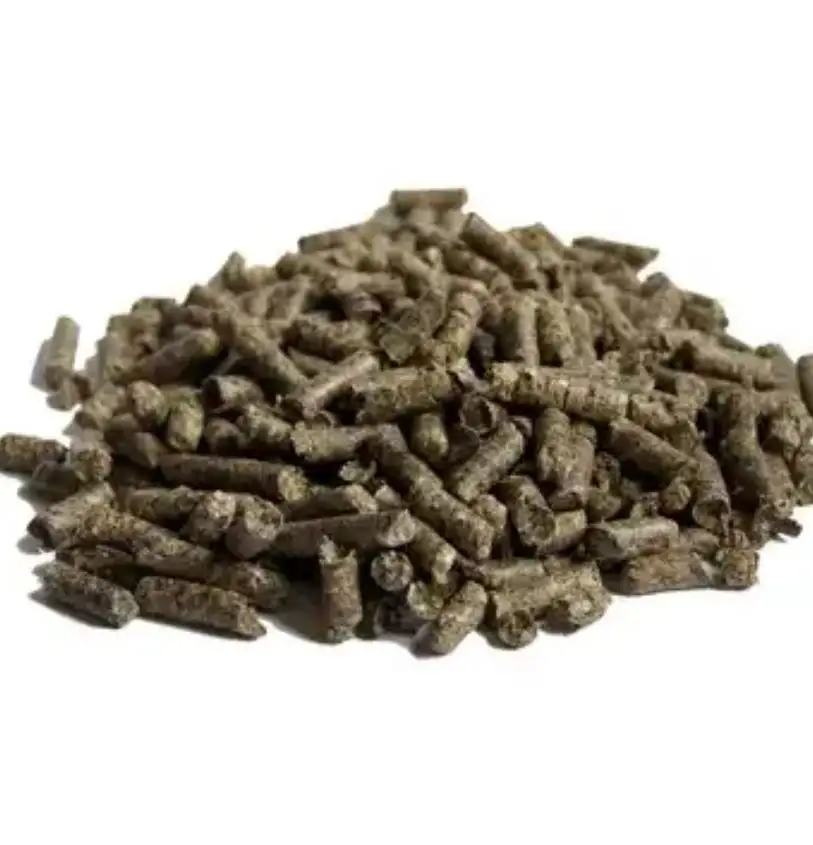 Zuckerrüben-Pulpppellets von Bestpreis hochwertiges Produkt in Granulat für Tiernahrung im Großhandel