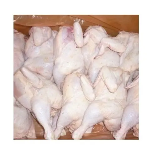 Precio de Venta caliente de pollo entero Halal congelado y piezas de pollo a granel