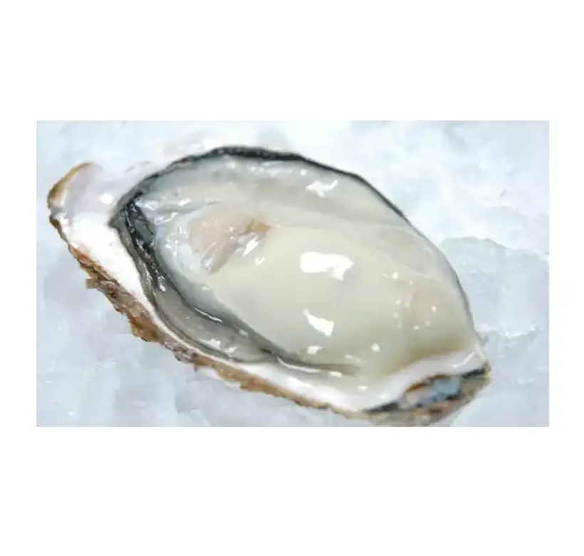 Vente en gros de produits Autres crustacés Valeur nutritive Consommer des huîtres Fruits de mer crus congelés