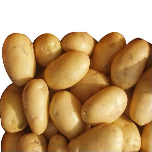 Prix de pomme de terre d'usine d'exportateur de pomme de terre professionnel pour la vente en gros de pommes de terre en vrac de haute qualité prêt à expédier