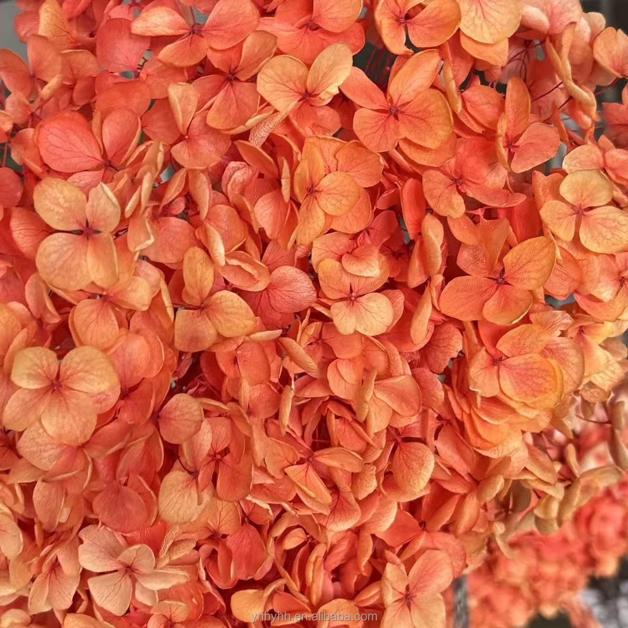 Arancione sfumato