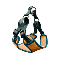 Sable avec vert