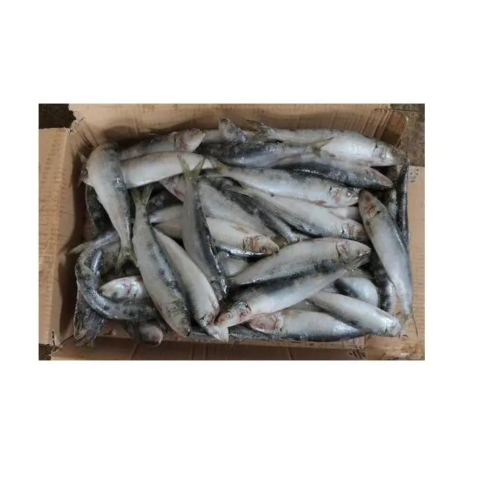 Онлайн покупка/заказ высококачественных морепродуктов Bqf целые круглые сардины рыбы с лучшим качеством Лучшая цена экспорт из Германии