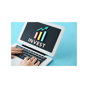 Acquistare software finanziario di fascia alta che automatizza e gestisce le transazioni finanziarie all'interno di un'organizzazione. - Product Image 2
