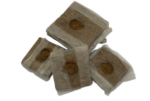 ธรรมชาติ