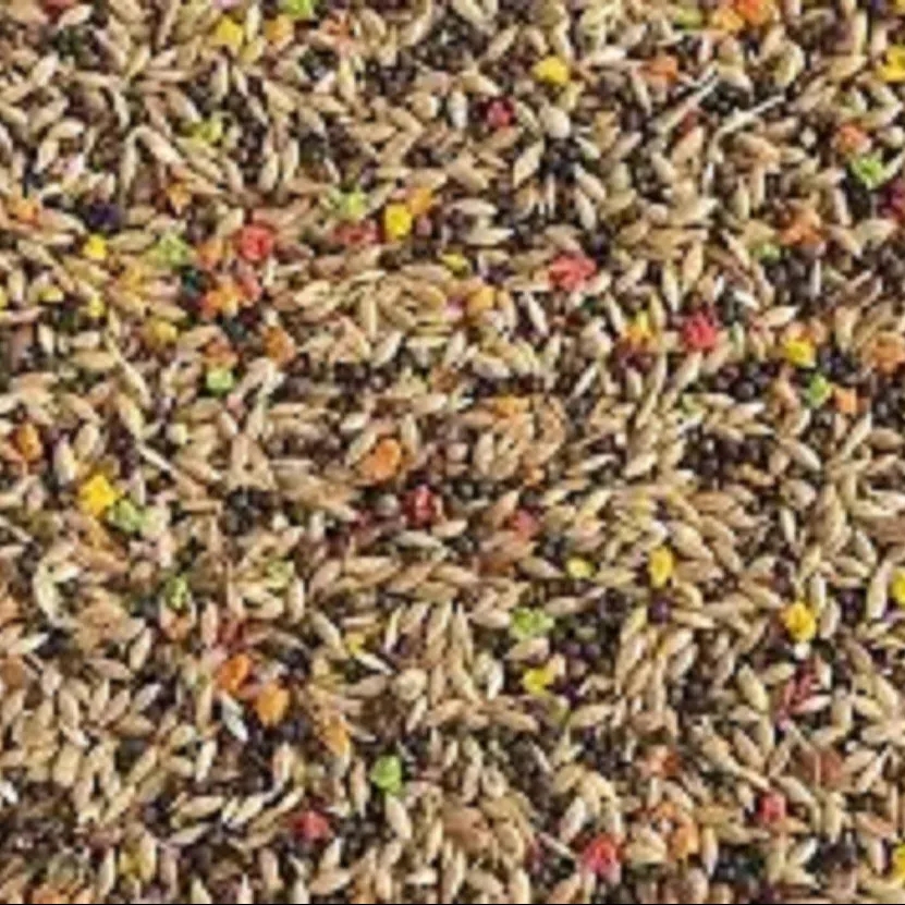 Canary Seed Mix Birds Food