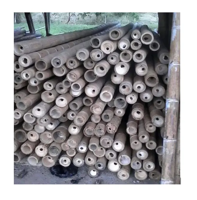 Scelta principale di pali di bambù per acquirenti su larga scala