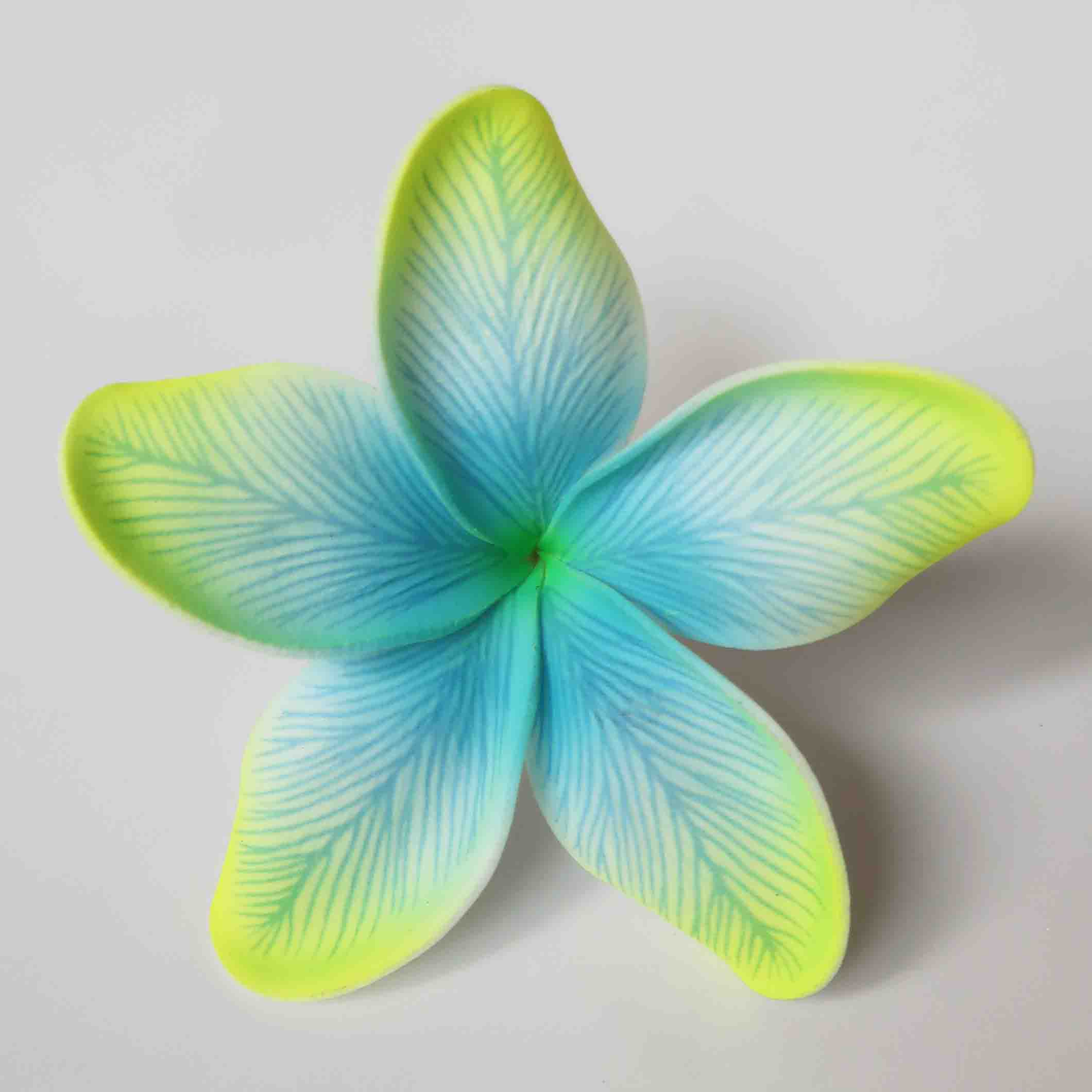 SC03