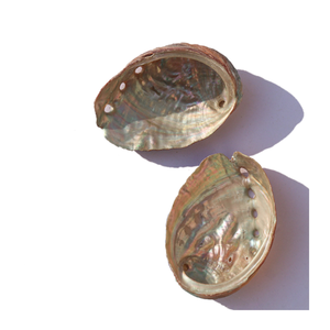 NATURAL LARGE SIZE POLISHED ABALONE <strong>SHELL</strong> CHARMING and ATTRACTIVE BLUE ABALONE SEASHELL WHOLESALE BEST PRICE ABALONE - Product Image 2