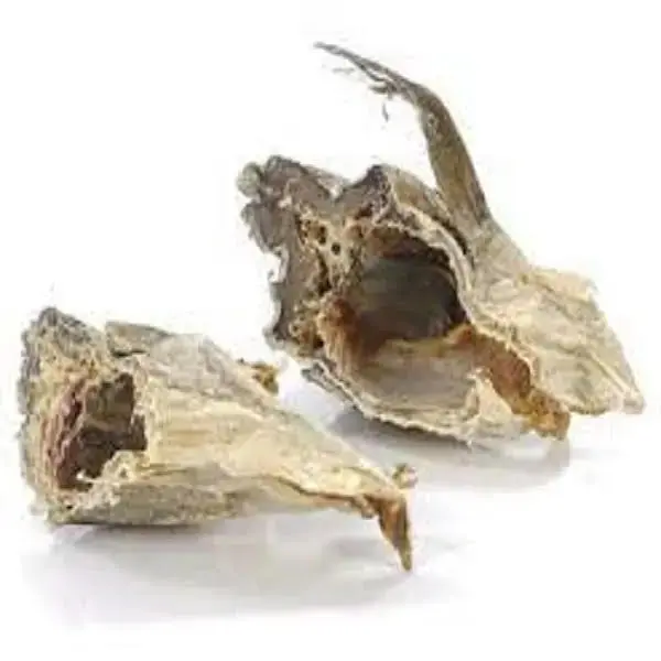 Meilleure qualité Stockfish d'Afrique du Sud, Stockfish norvégien séché et têtes de morue