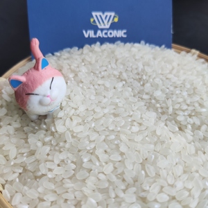 1kg túi chân không Pape chứa gạo sushi trắng gạo Việt Nam xuất khẩu sang cảng <span class=keywords><strong>Rotterdam</strong></span> liên hệ với <span class=keywords><strong>ms</strong></span>. Quincy WA 84858080598 - Product Image 3