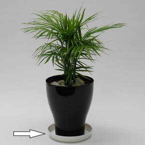 จานรองกระถางดอกไม้มีหลายขนาดสำหรับใช้ในชีวิตประจำวัน - Product Image 1