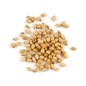 Uygun fiyatlarla satılık yüksek kalite kişniş tohumları toplu olarak satın - Product Image 6