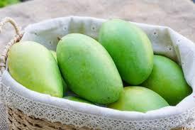 TOP SELLING FRESH <strong>MANGO</strong> 2024 - LIGHT SWEET <strong>MANGO</strong> YELLOW GREEN <strong>MANGO</strong> FROM VIETNAM 99 GOLD DATA - Product Image 2