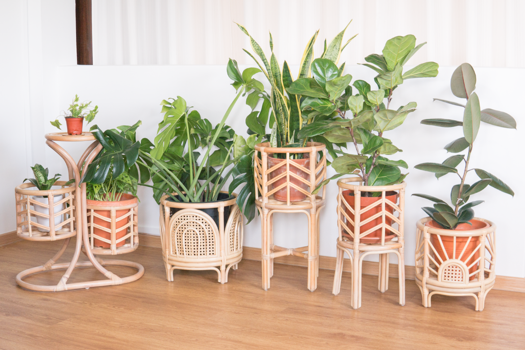 ธรรมชาติ