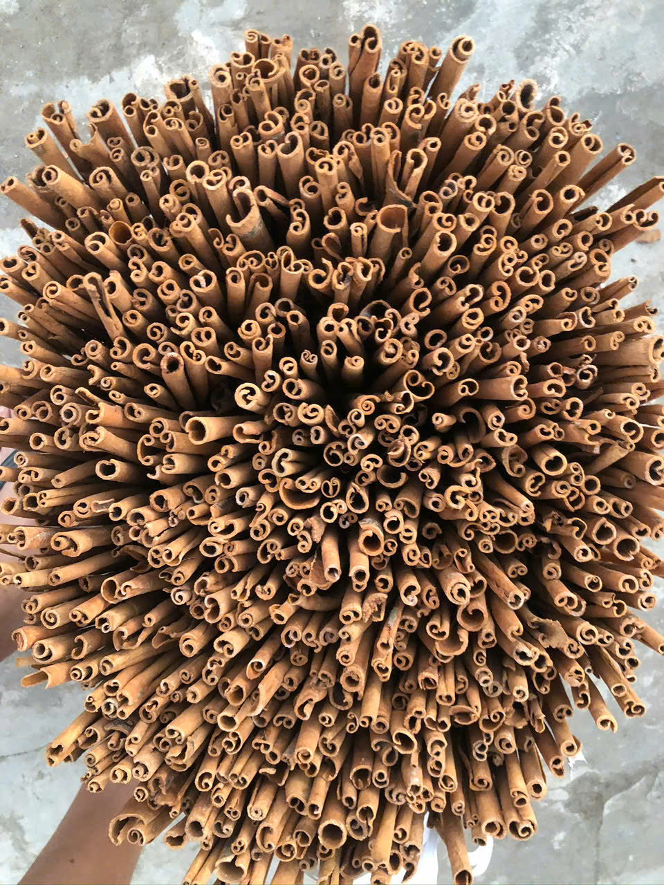节日工艺品香味肉桂棒乡村装饰DIY项目杂烩和礼品展示创意 - Product Image 3