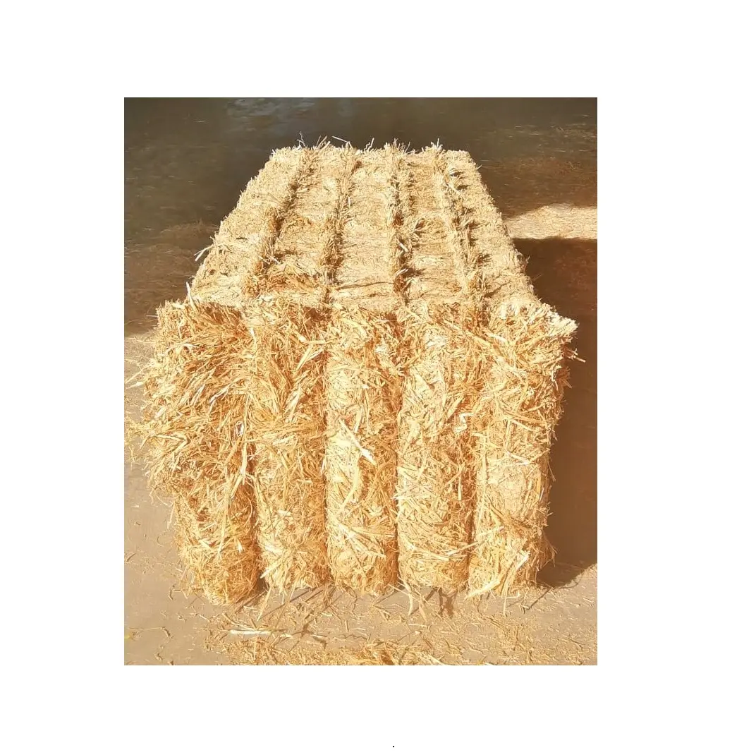 Mangime per animali in erba di fieno di grano di qualità Premium disponibile a prezzo all'ingrosso per l'alimentazione degli animali con imballaggio personalizzato