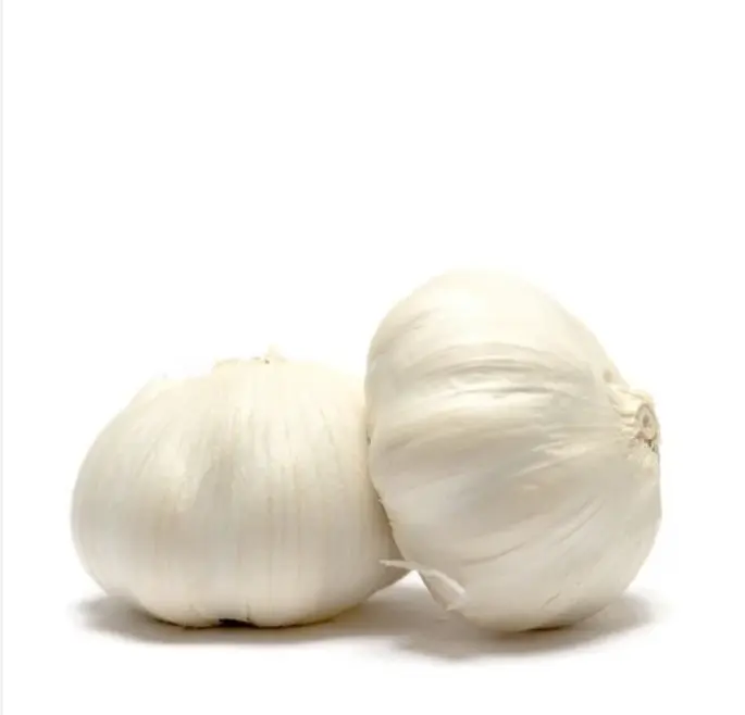 Fresh White Garlic 6.0cm Chinese Normal White Pure White Fresh Garlic Wholesale 10kg Carton Garlic