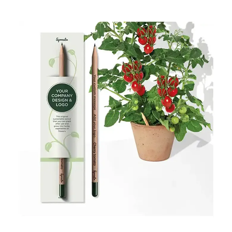 Azienda promozionale certificata su misura germogliabile matita pomodoro ciliegino fatto da regali eco-friendly in legno