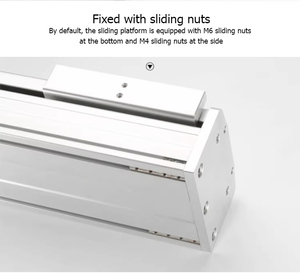 IP67-Rated双轴滚珠丝杠直线滑道组件 - Product Image 5
