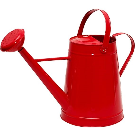 ตามที่แสดง