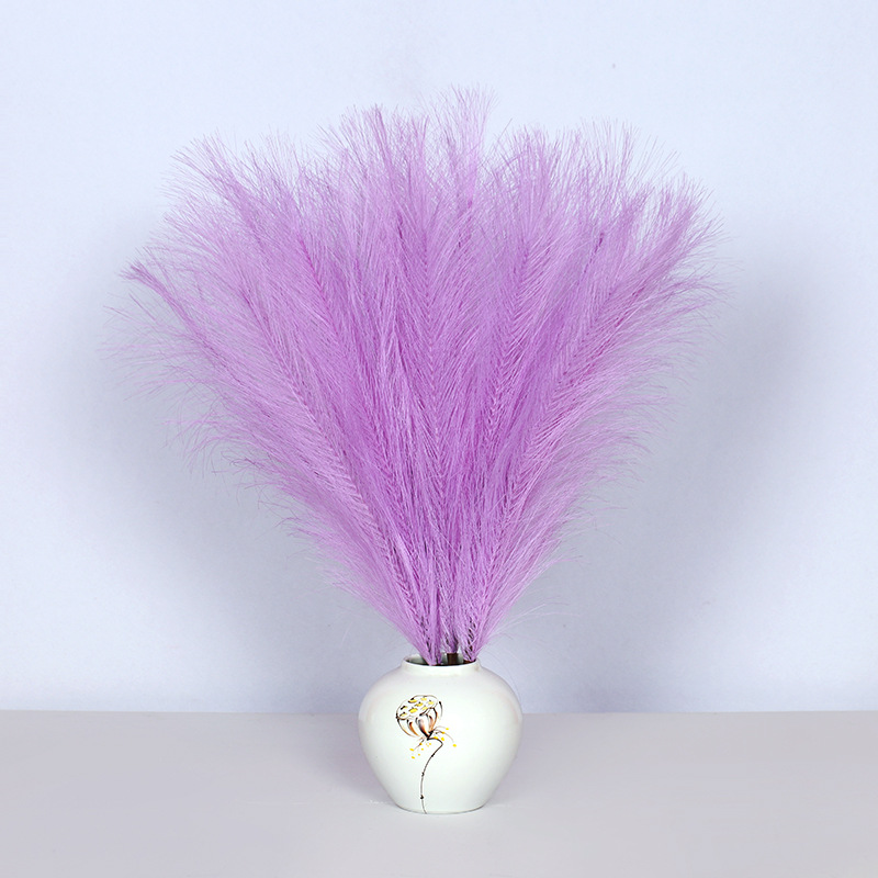 Pourpre