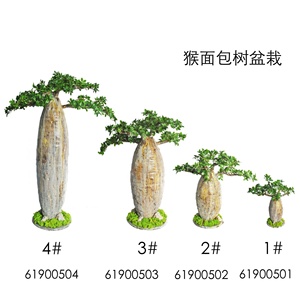 バオバドモダン人工バオバブツリーグラスファイバー装飾モダンツリー - Product Image 4