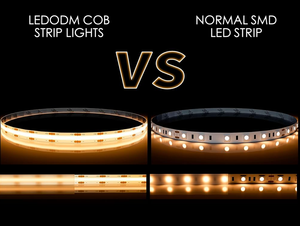 Leddodm cob הוביל רצועת גמישה צבע חלום אור 12/24v שליטה חכמה 2700-6500k cct מחיר המפעל עבור נוף