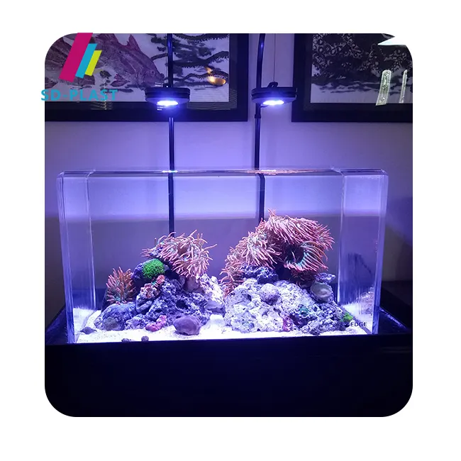 Acquario acrilico personalizzato ovale caffè tavolo pesce serbatoio acquario di vetro