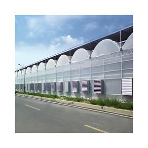 室外温室金属框架农业农业商业大型多跨度塑料植物温室